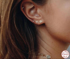 Sterling Silver 925 Zircon Flower Stud Earrings
