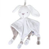 51295450988854