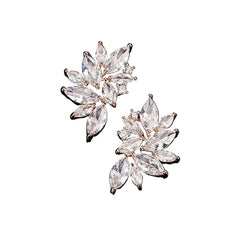 Woman Cubic Zircon Crystal Flower Stud Earrings