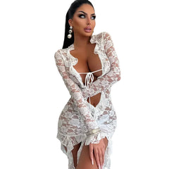 Women Lace See Through Deep V-neck Bodycon Mini Dress