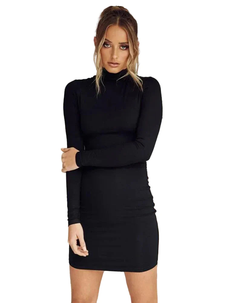 Women Casual Long Sleeved Knit Stretch Dress