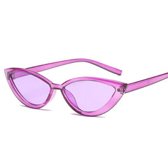 Accessories Women Cat Eye Style Clear Frame Sunglasses