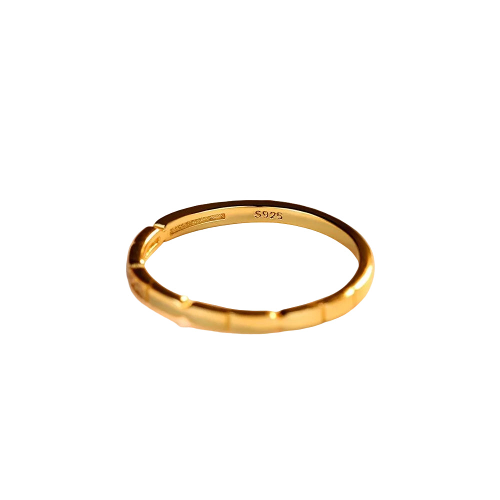 Sterling Silver 925 Unisex Twin Tiny Cubic Zircon Ring