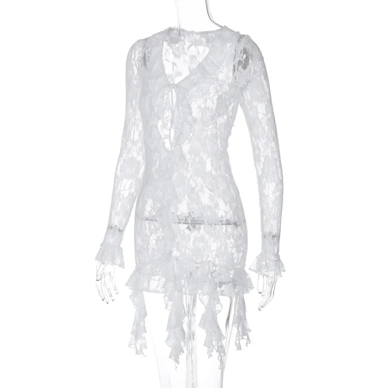 Women Lace See Through Deep V-neck Bodycon Mini Dress