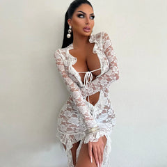 Women Lace See Through Deep V-neck Bodycon Mini Dress