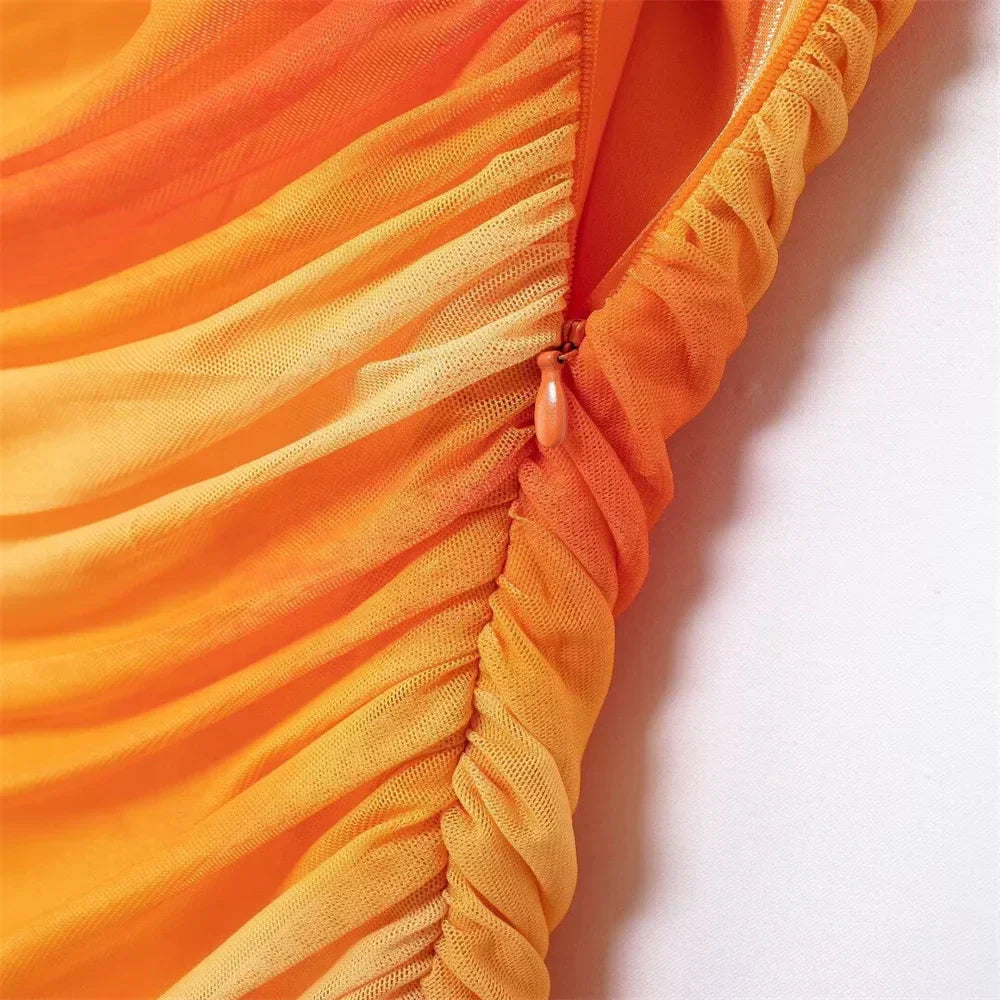 Women Casual Pleated Printed Silk Mesh Dress