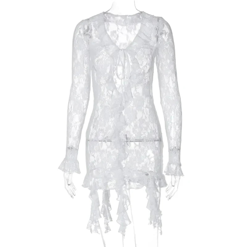 Women Lace See Through Deep V-neck Bodycon Mini Dress